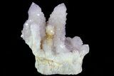 Cactus Quartz (Amethyst) Cluster - South Africa #80004-2